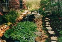 Waterfeature one year later.